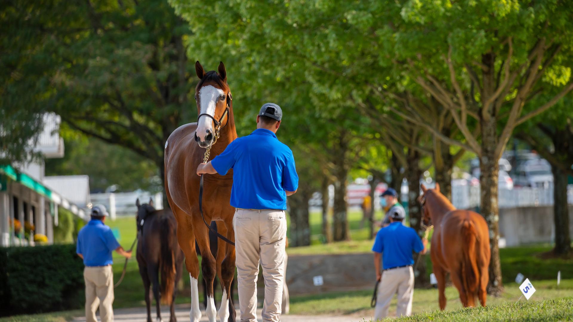 Home Keeneland September